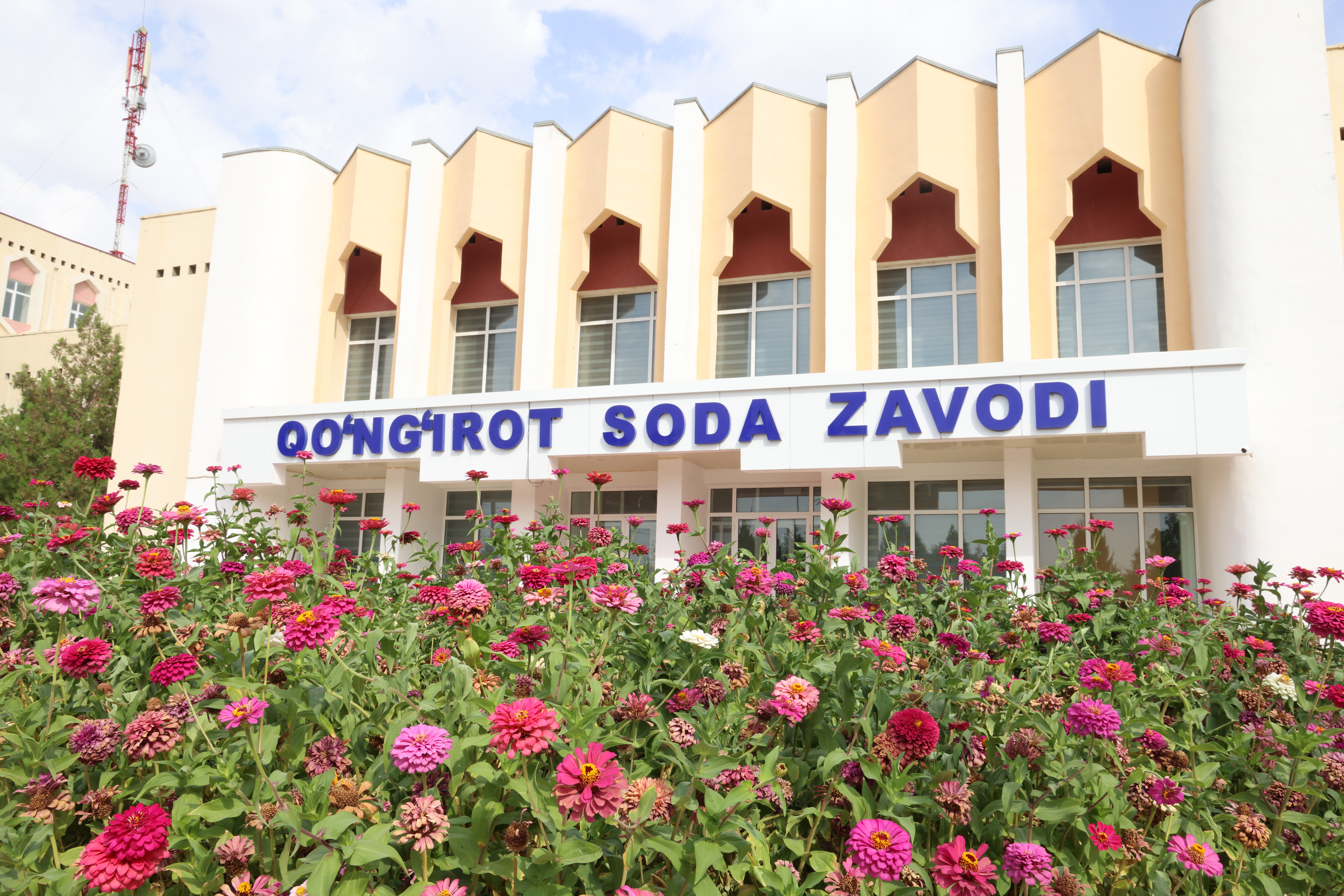 logo